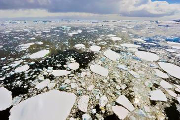 Icepack Antarctic, Ross Sea. © Etienne Pierart.